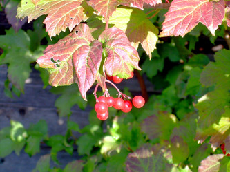 Similar image 21813664