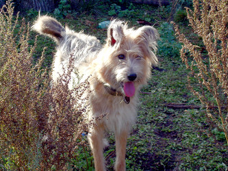 Similar image 21813665