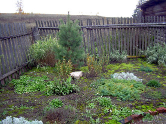 Similar image 21813667