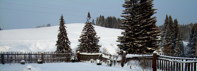 Similar image 21813672