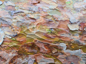 Similar image 21813300