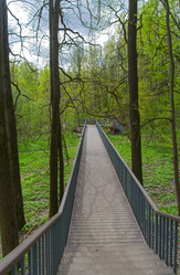 Similar image 21813303