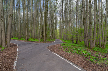 Similar image 21813304