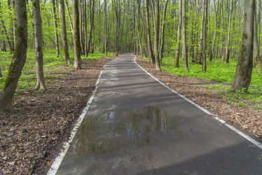 Similar image 21813305