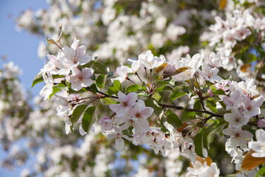 Similar image 21813823