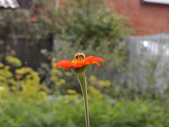 Similar image 21813972