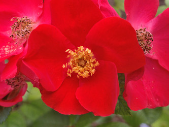 Similar image 21813974