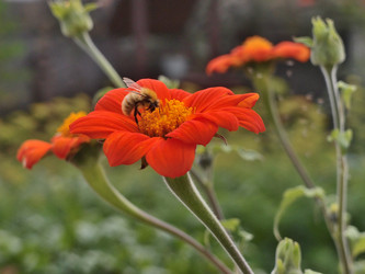 Similar image 21813975