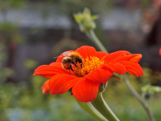 Similar image 21813976