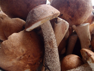 Similar image 21813978