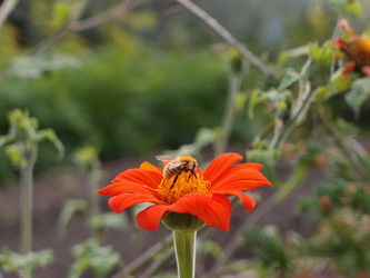 Similar image 21813979