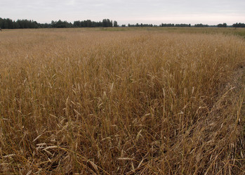 Similar image 21813982