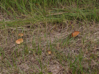 Similar image 21813983