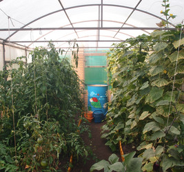 Similar image 21813990