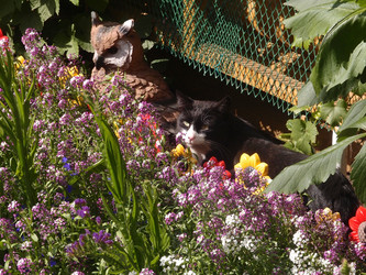 Similar image 21813991