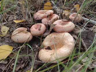 Similar image 21813993