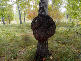 Similar image 21813995