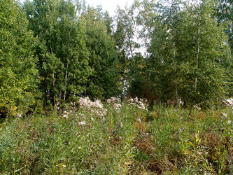 Similar image 21813997