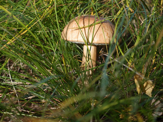 Similar image 21813998