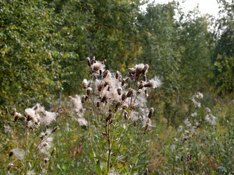 Similar image 21813999