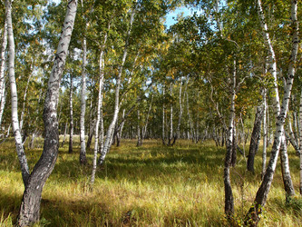 Similar image 21814384