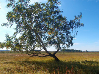 Similar image 21814385