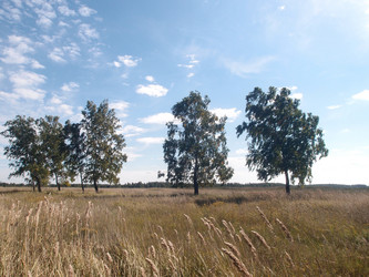 Similar image 21814387