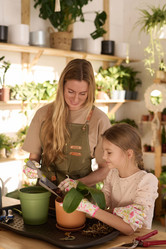 Similar image 21798392