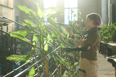 Similar image 21797593