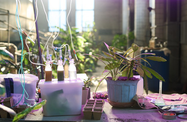 Similar image 21800085