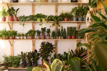 Similar image 21802194