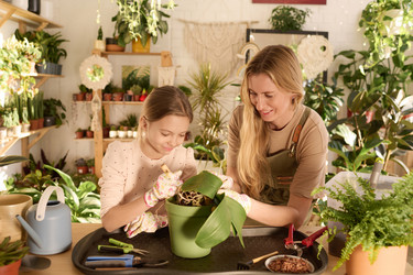 Similar image 21800352