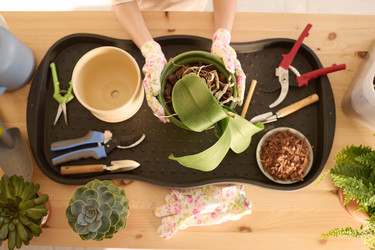 Similar image 21796436