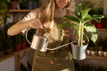 Similar image 21799010