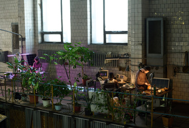 Similar image 21797492