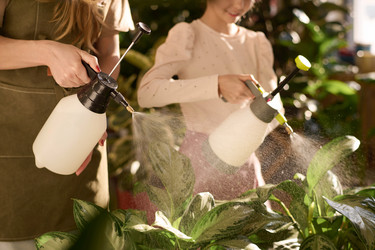 Similar image 21797927