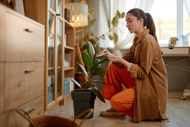 Similar image 21798830