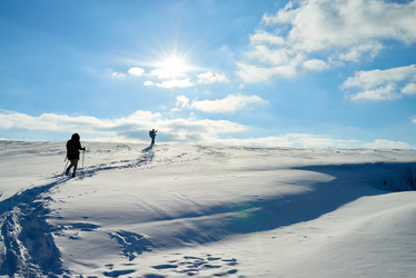 Similar image 21799957