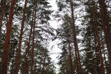 Similar image 21798256