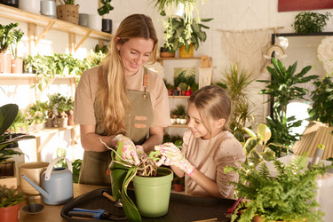 Similar image 21801727