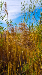 Similar image 21817320