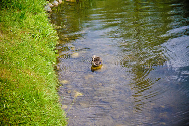 Similar image 21817180