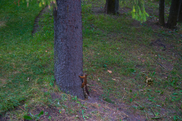 Similar image 21817181