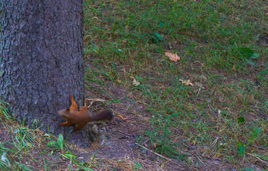 Similar image 21817182