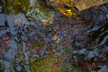 Similar image 21817321