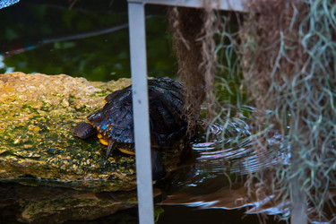 Similar image 21817322