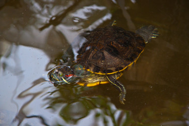 Similar image 21817323