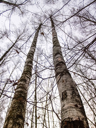 Similar image 21816486