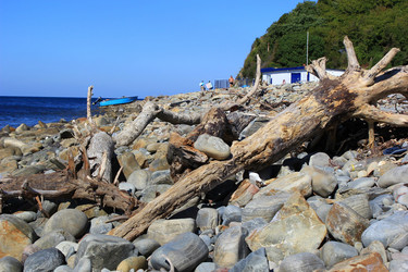 Similar image 21816488