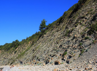 Similar image 21816489